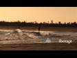 Whatipu Beach 4 437